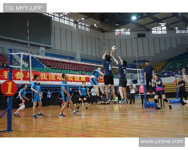 南京排球队总决赛精彩表现分析团队协作的重要性与未来展望